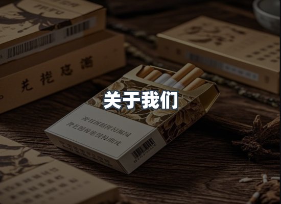 专业团队